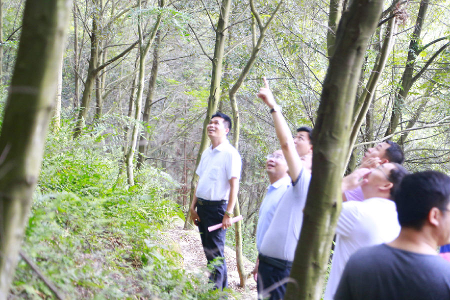 _MG_6831.JPG
