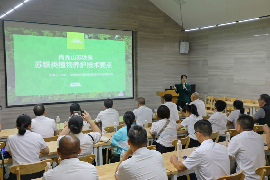 图片9_副本.jpg