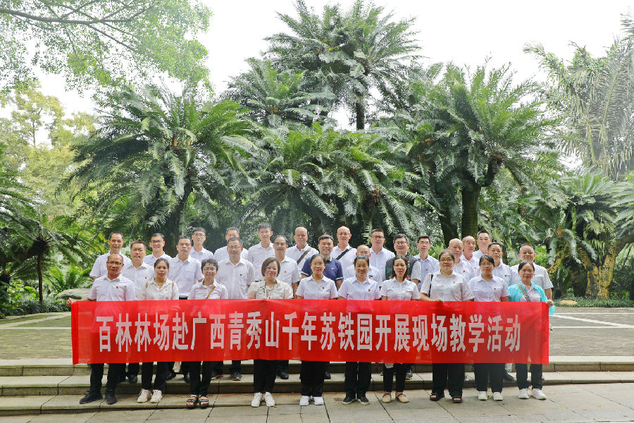图片6_副本.jpg