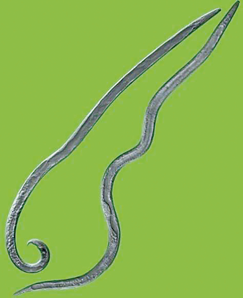 640 (4).png