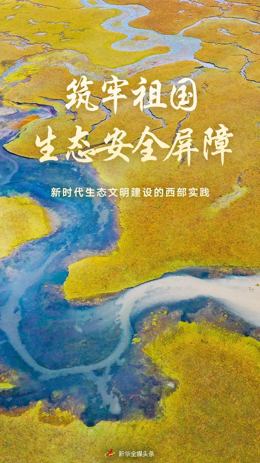 640.webp (1)_副本.jpg