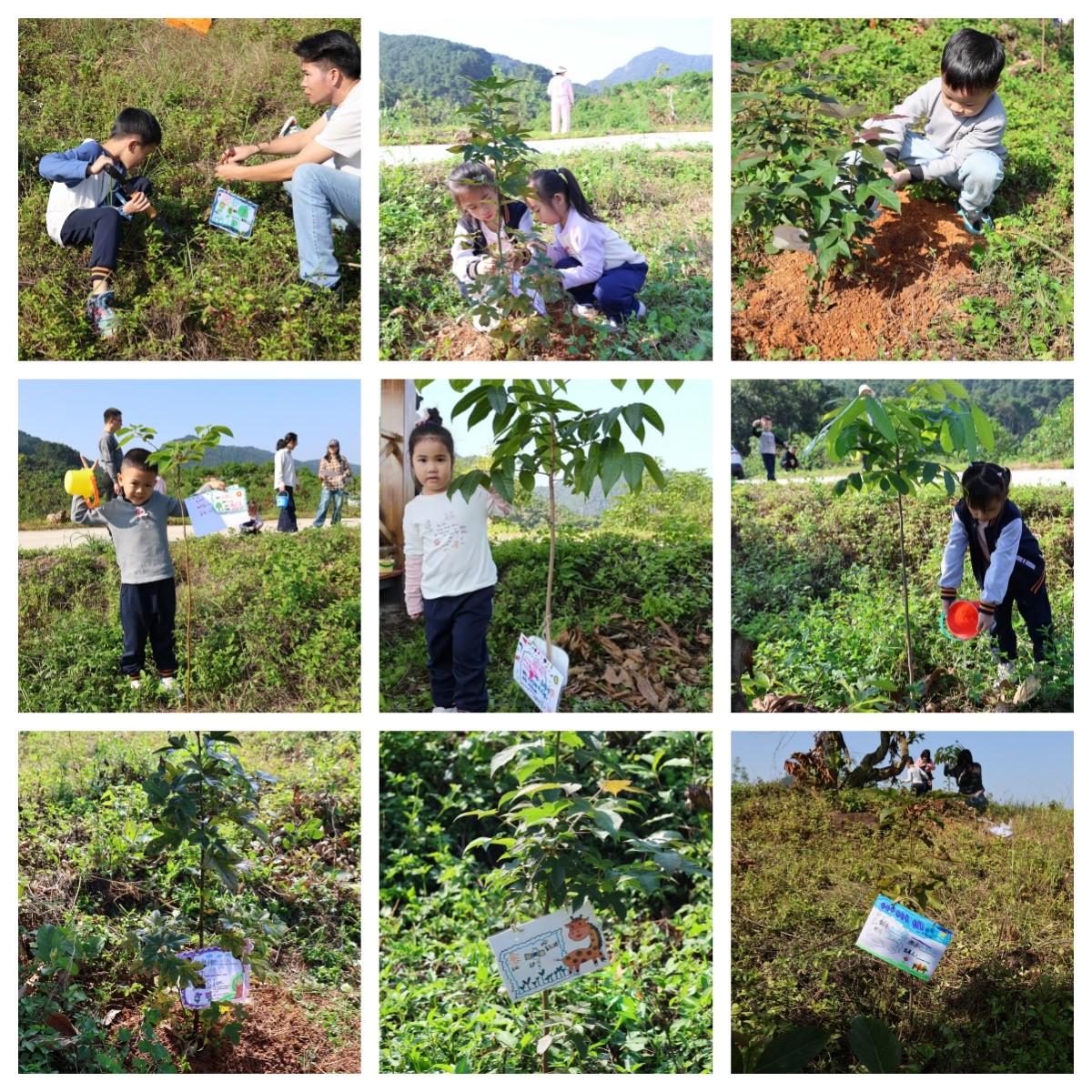 未命名.jpg 未命名.jpg