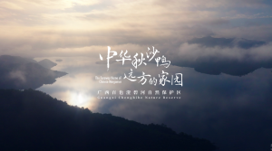 广西百色澄碧河自然保护区宣传片