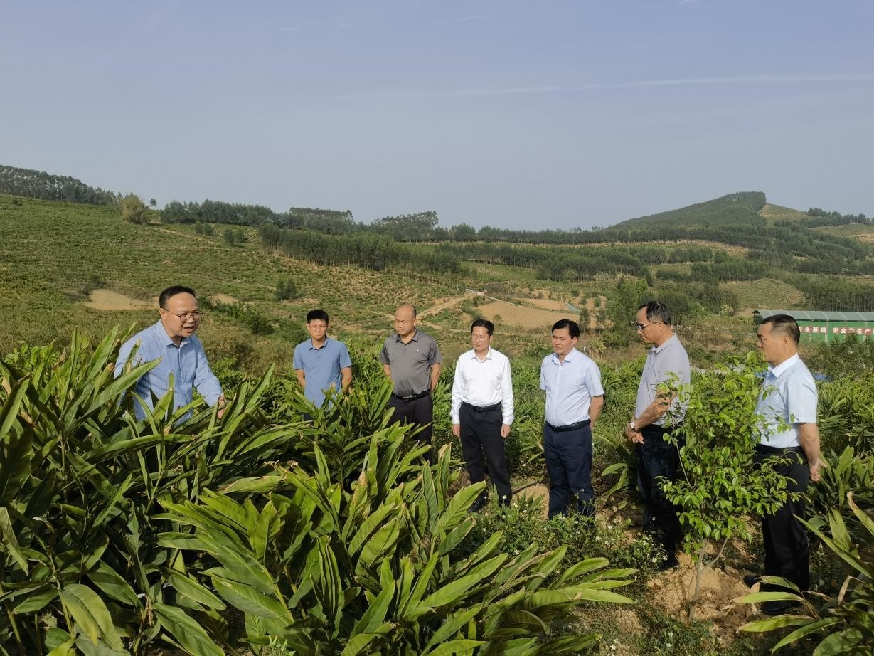 图片6_副本.jpg 图片6_副本.jpg