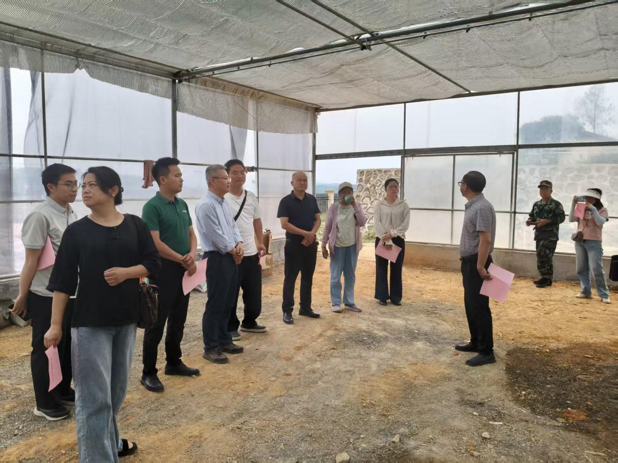 图片3.jpg 图片3.jpg