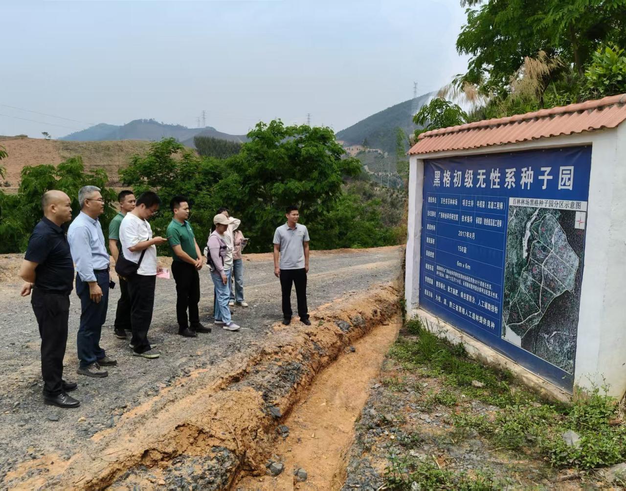 图片4.jpg 图片4.jpg