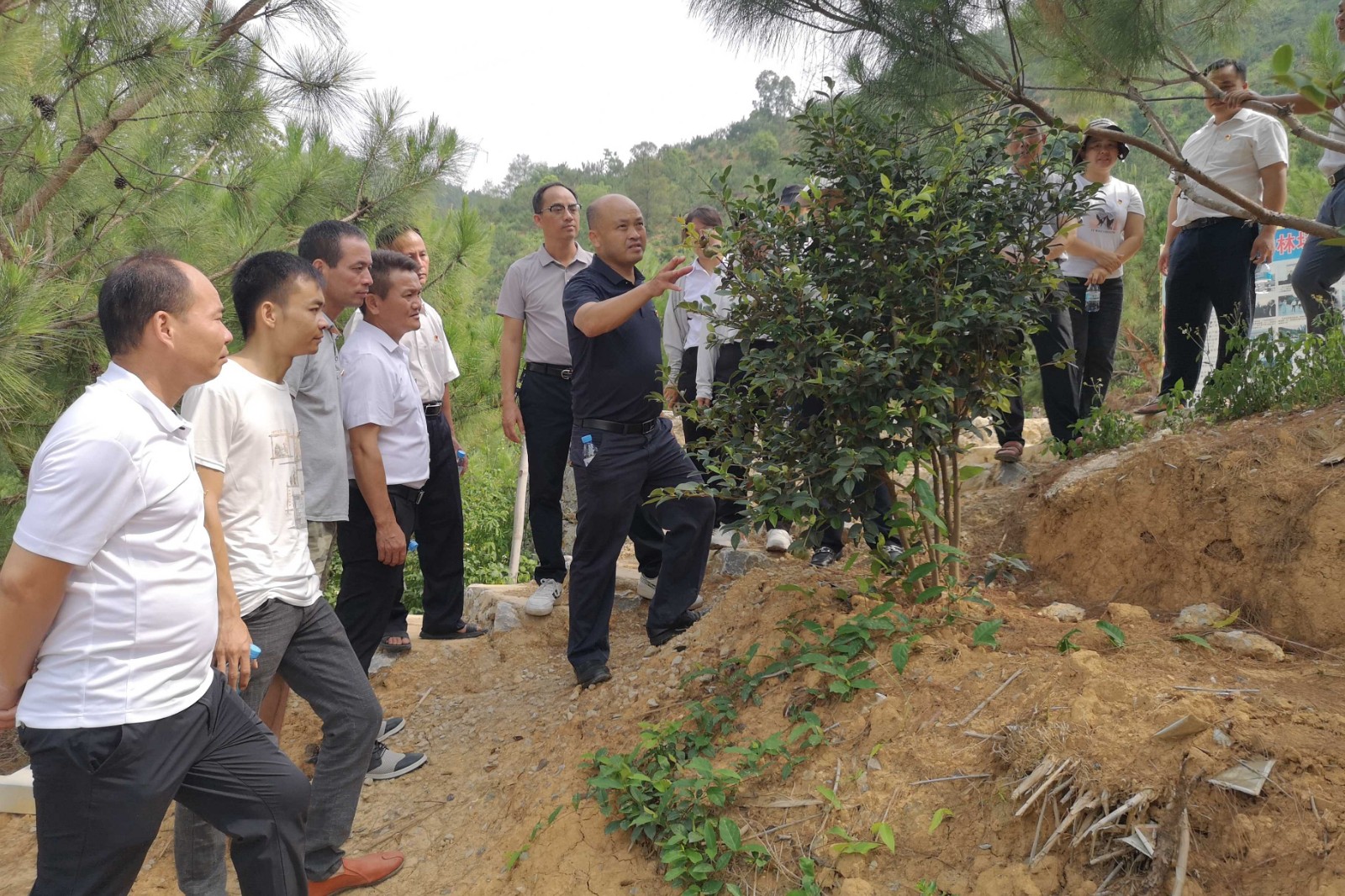 图片 (4)_副本.jpg