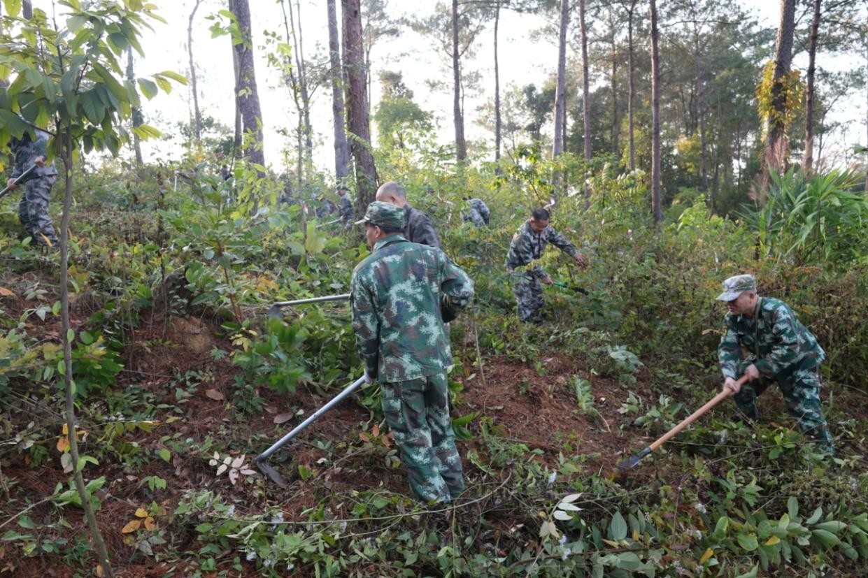 图片 2_副本 - 副本.jpg