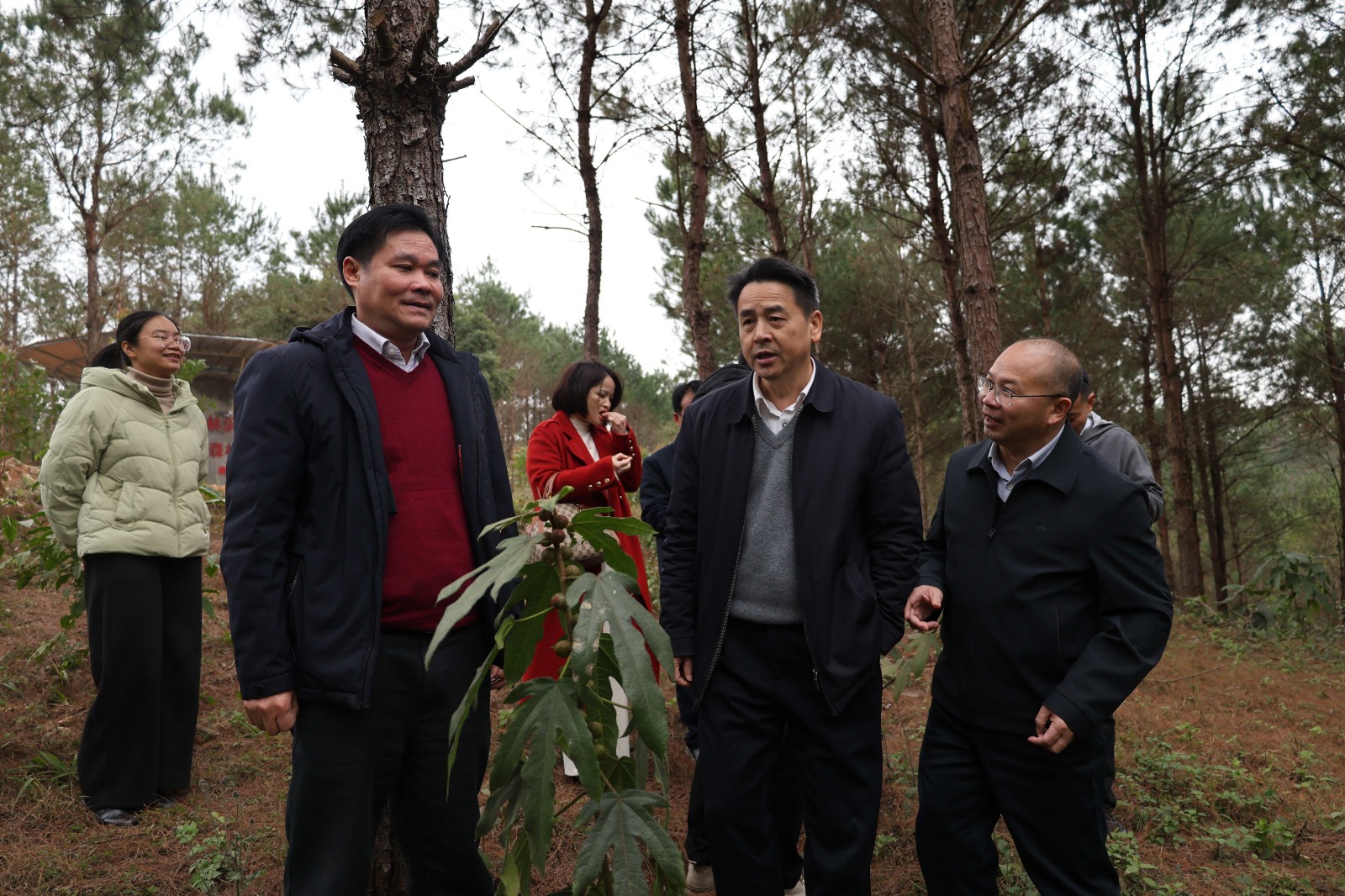 1_副本.jpg 1_副本.jpg