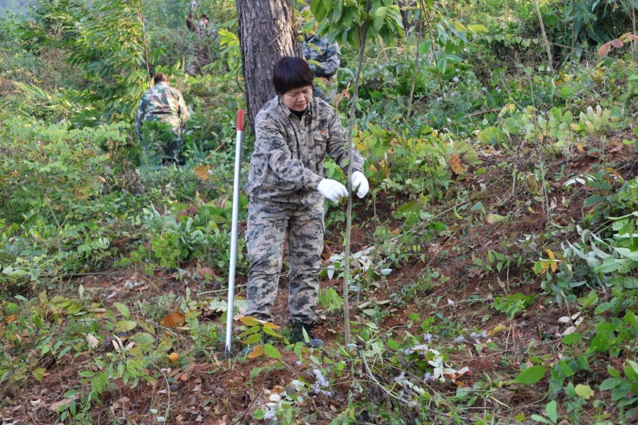 图片 3_副本 - 副本.jpg