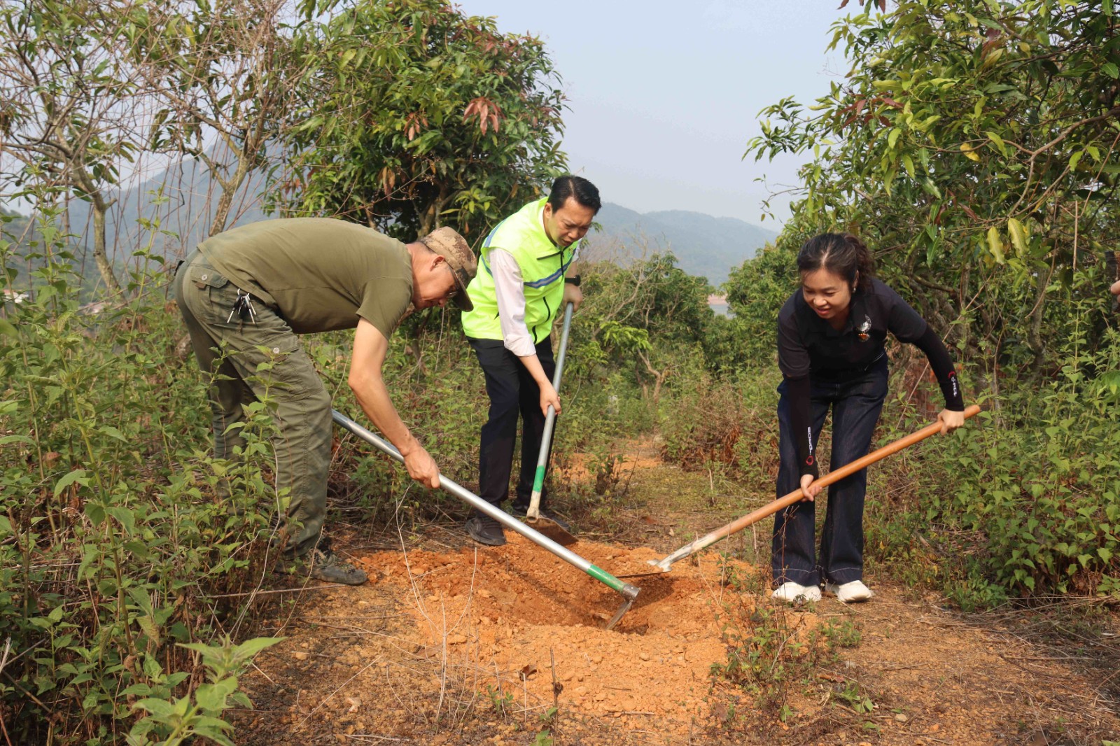 开展护绿植树实践活动  杨雪益 摄 (3)_副本.jpg