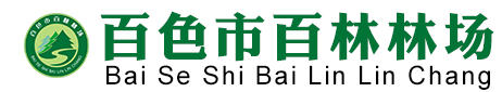百林林场