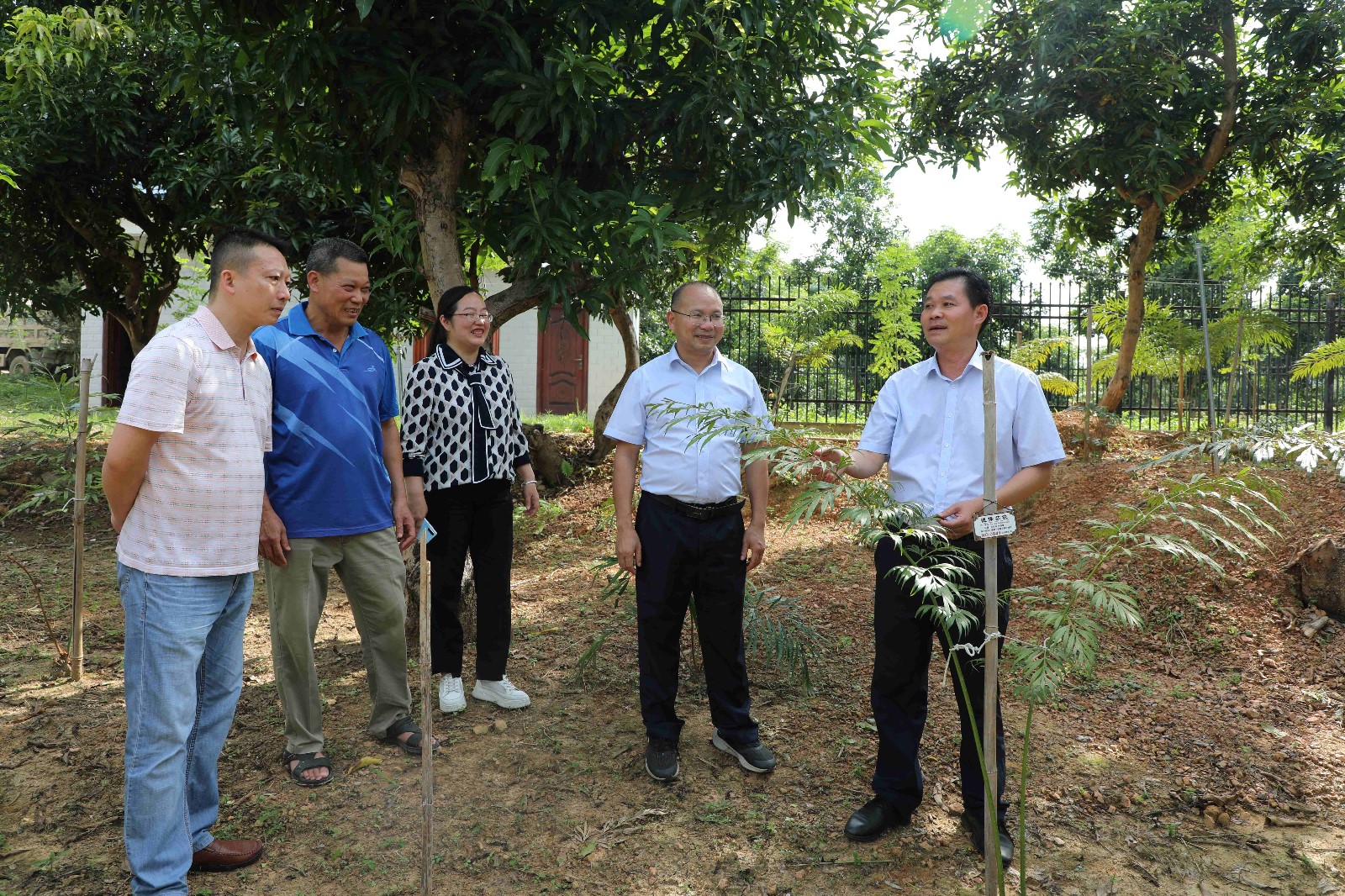 为进一步推动国有林场林业安全生产、信访维稳及林场项目建设工作，2023年9月7日，百色市林业局党组成员、副局长黄平一行4人到我场深入调研指导工作。百林林场党总支书记、场长岑绍荣陪同调研。_副本.jpg