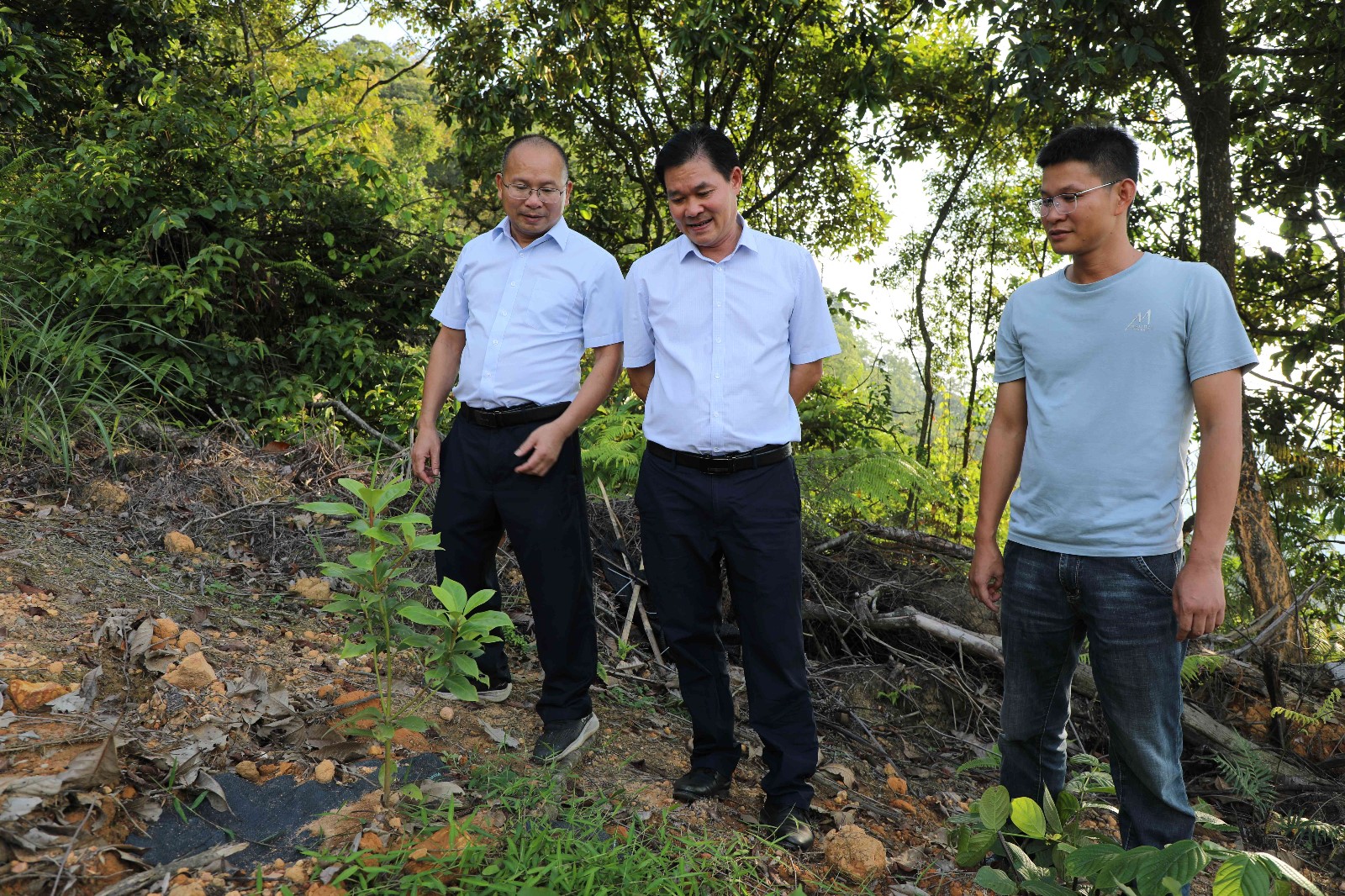 为进一步推动国有林场林业安全生产、信访维稳及林场项目建设工作，2023年9月7日，百色市林业局党组成员、副局长黄平一行4人到我场深入调研指导工作。百林林场党总支书记、场长岑绍荣陪同调研3_副本.jpg