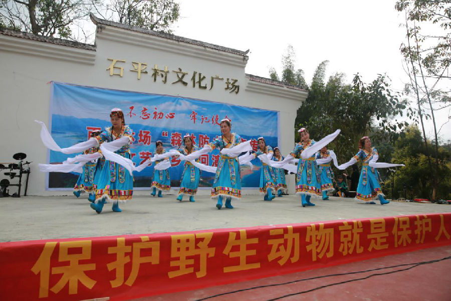图片11.jpg