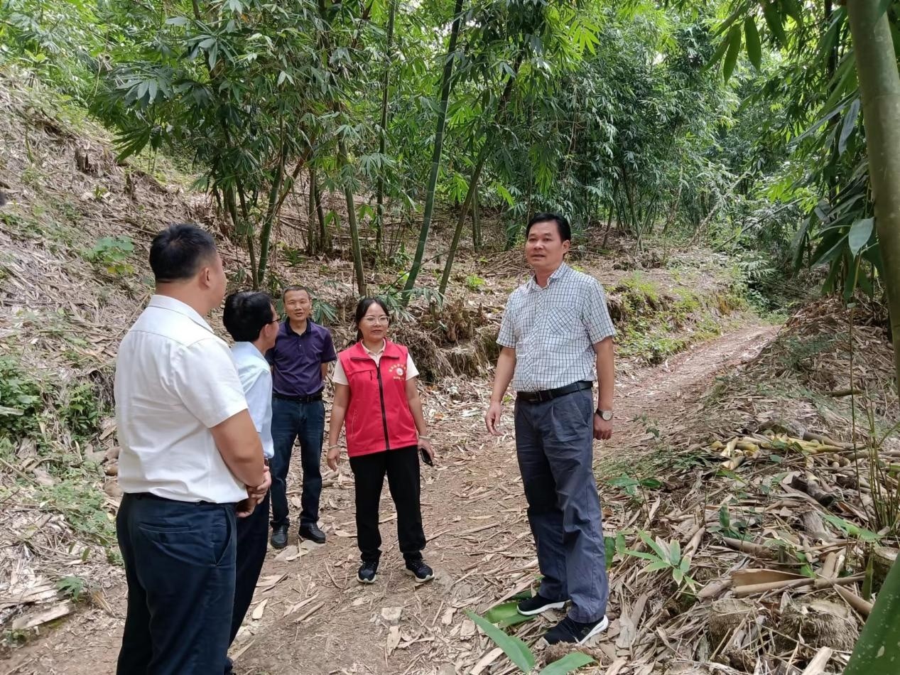 图片3_副本.jpg