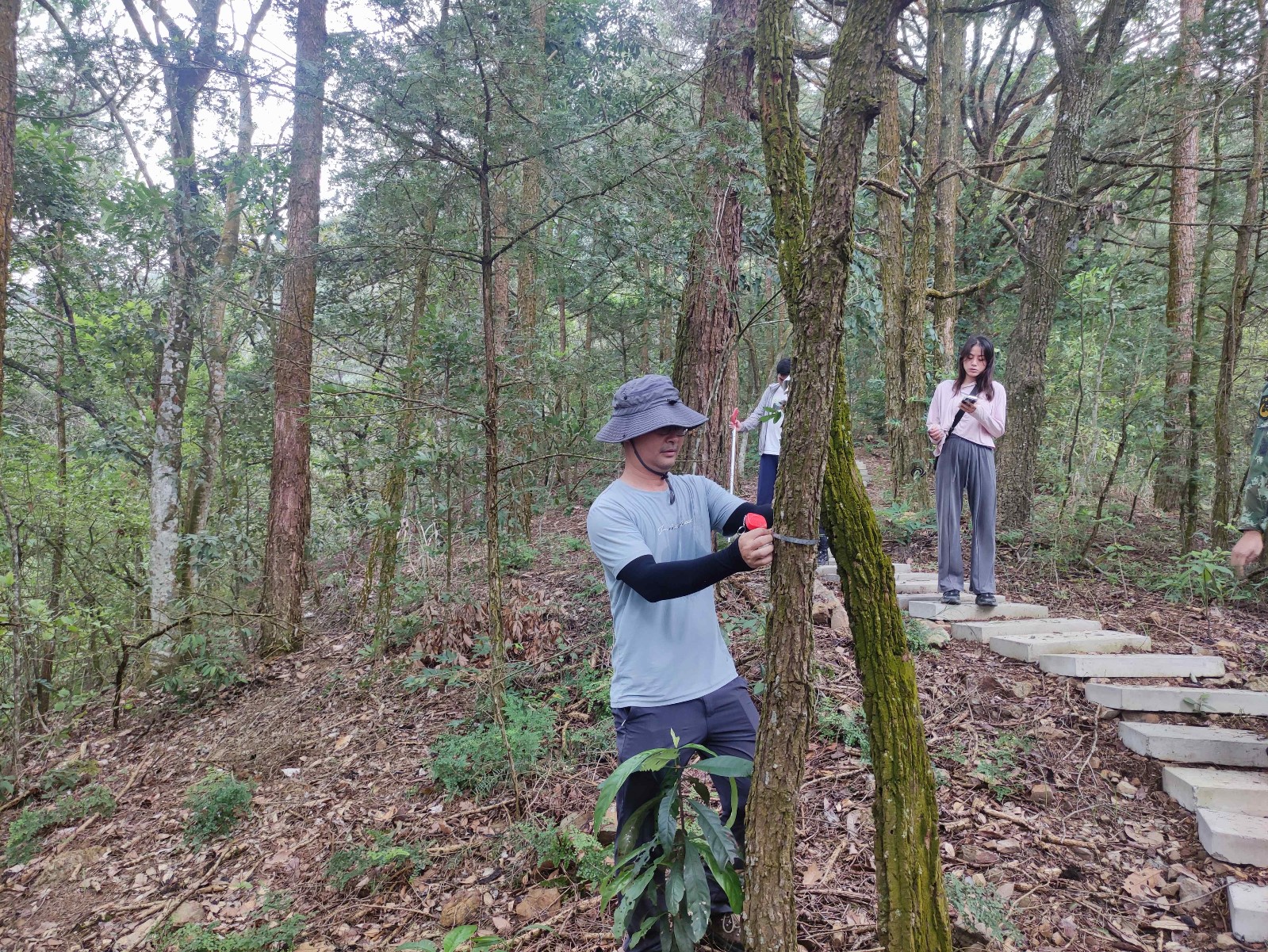 广西大学林学院到我场开展种质资源1_副本.jpg 广西大学林学院到我场开展种质资源1_副本.jpg