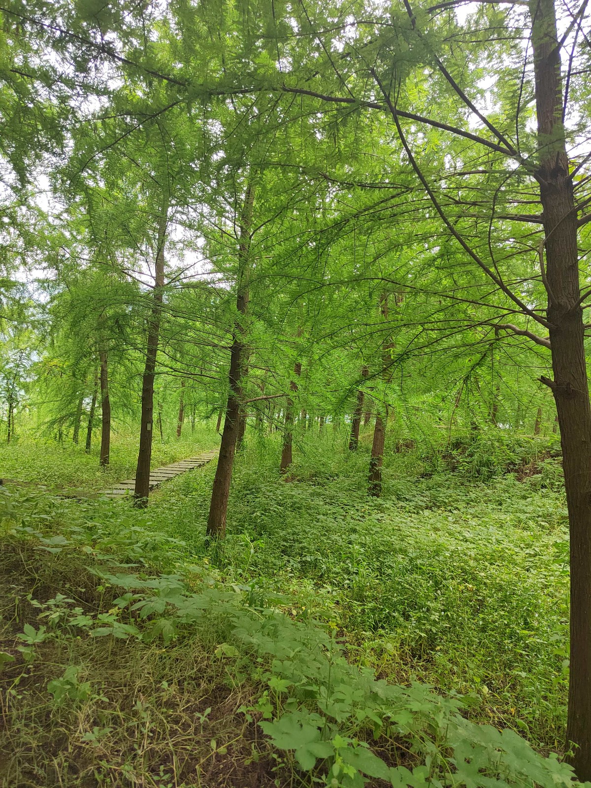微信图片_20230619120942_副本.jpg