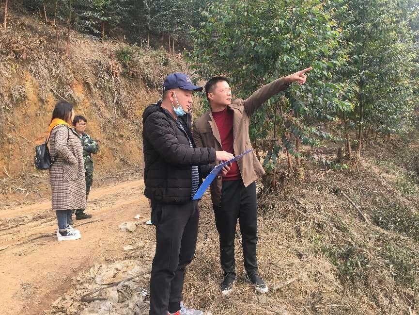 图片2.jpg