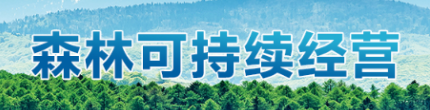 森林可持续经营