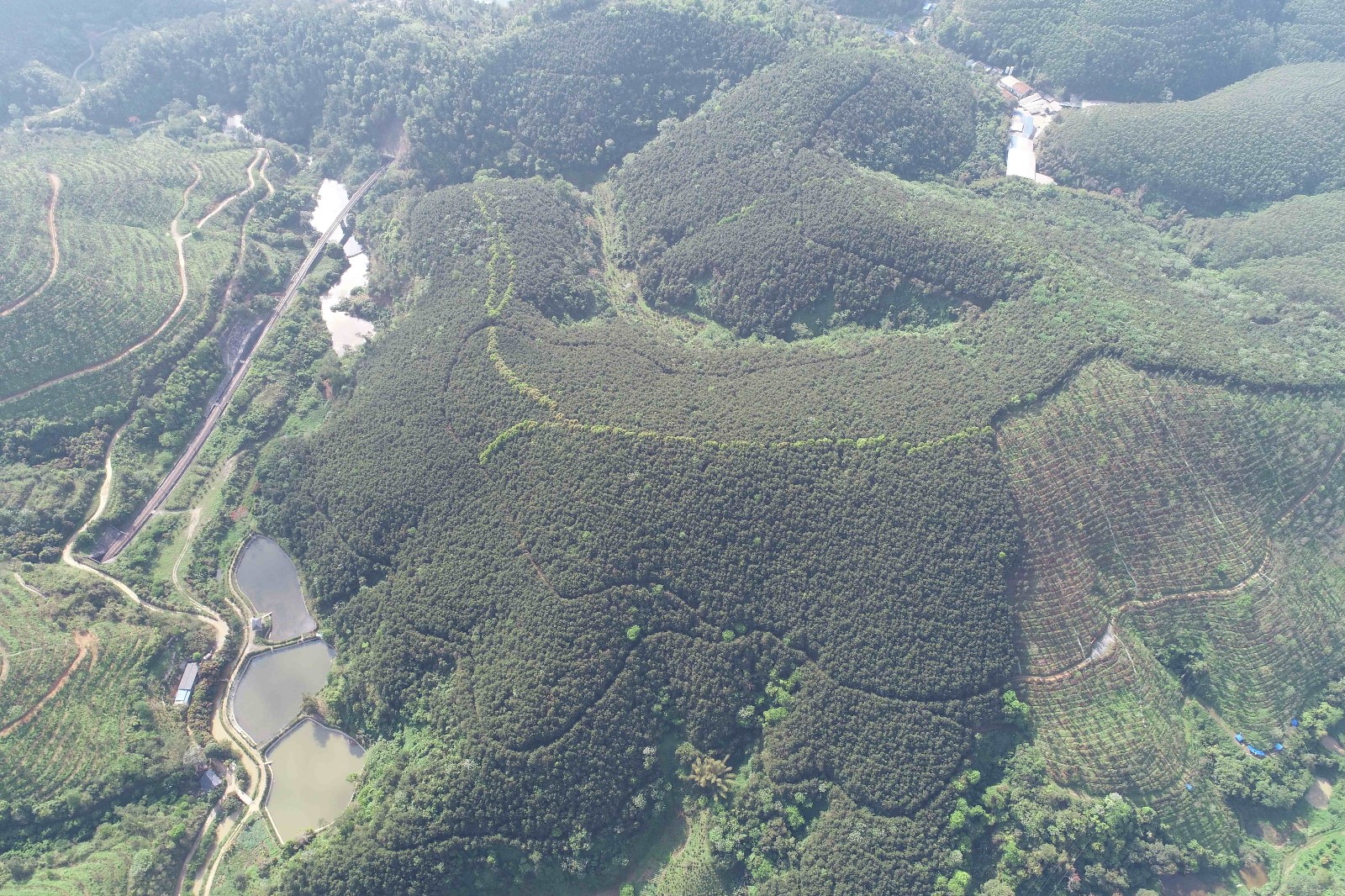 DJI_0245_副本.jpg DJI_0245_副本.jpg