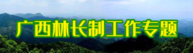广西林长制工作专题