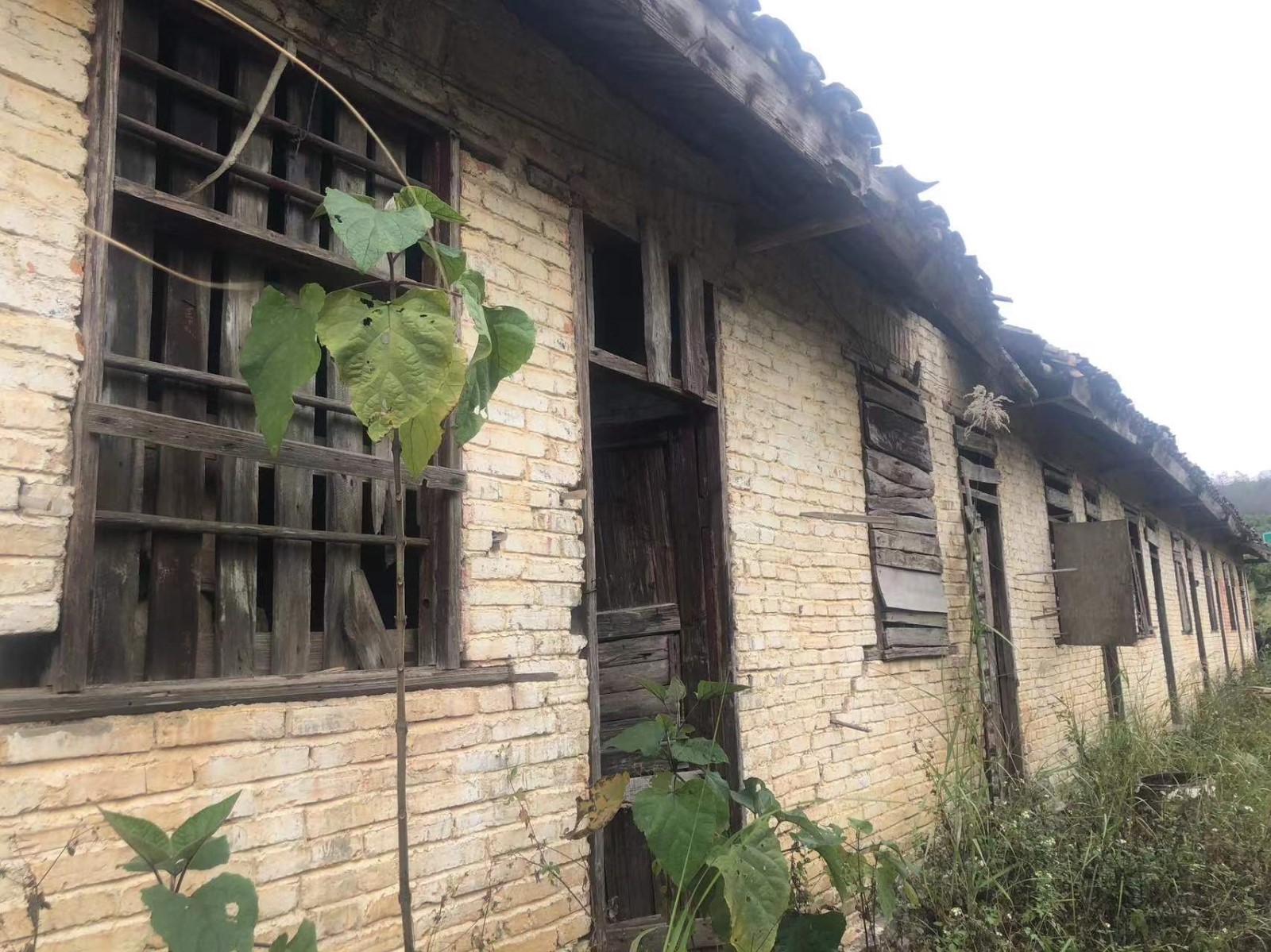 微信图片_20230223160342_副本.jpg