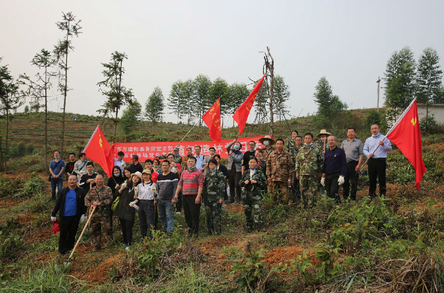 图片5.jpg