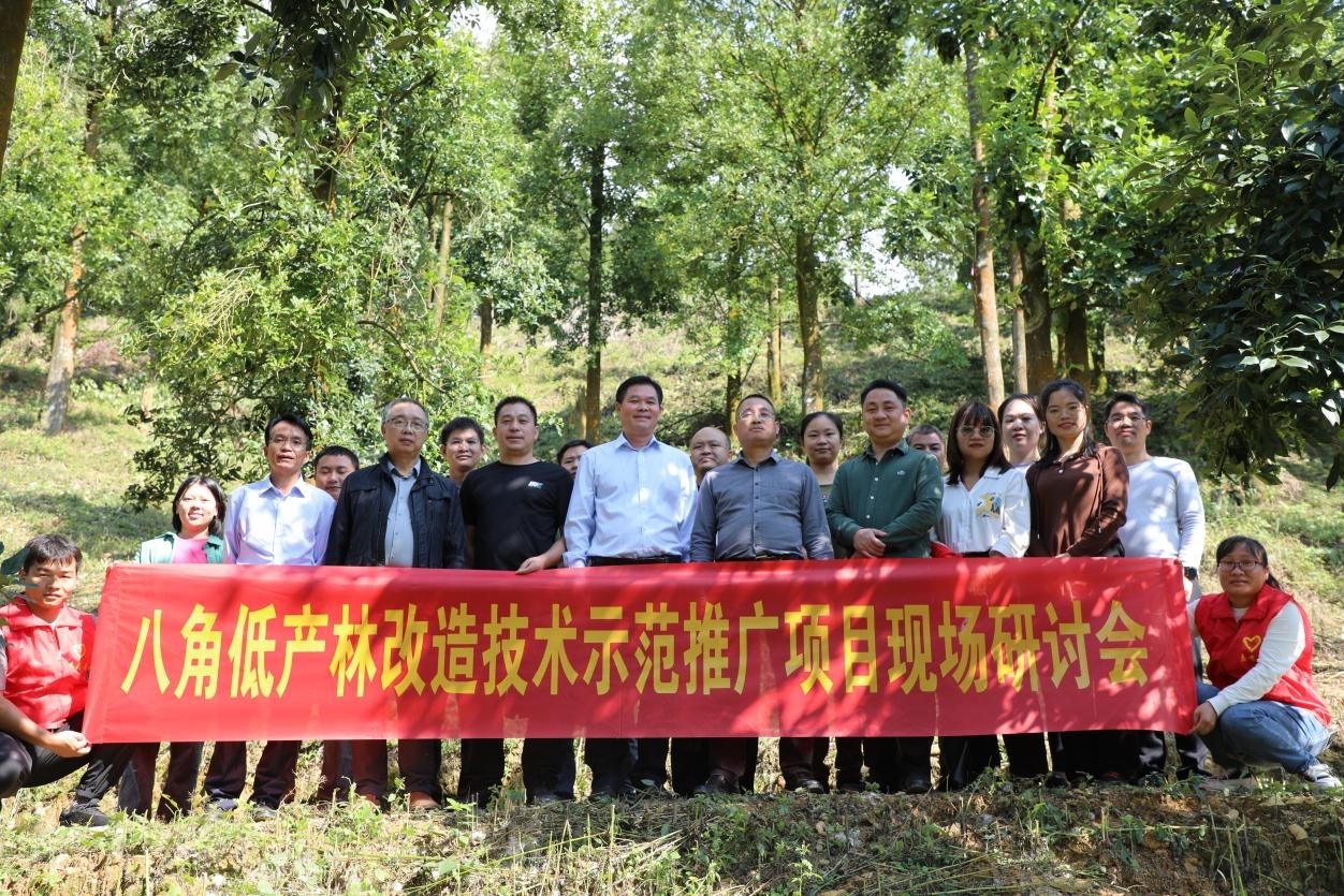 图片1.png德保_副本.jpg 图片1.png德保_副本.jpg