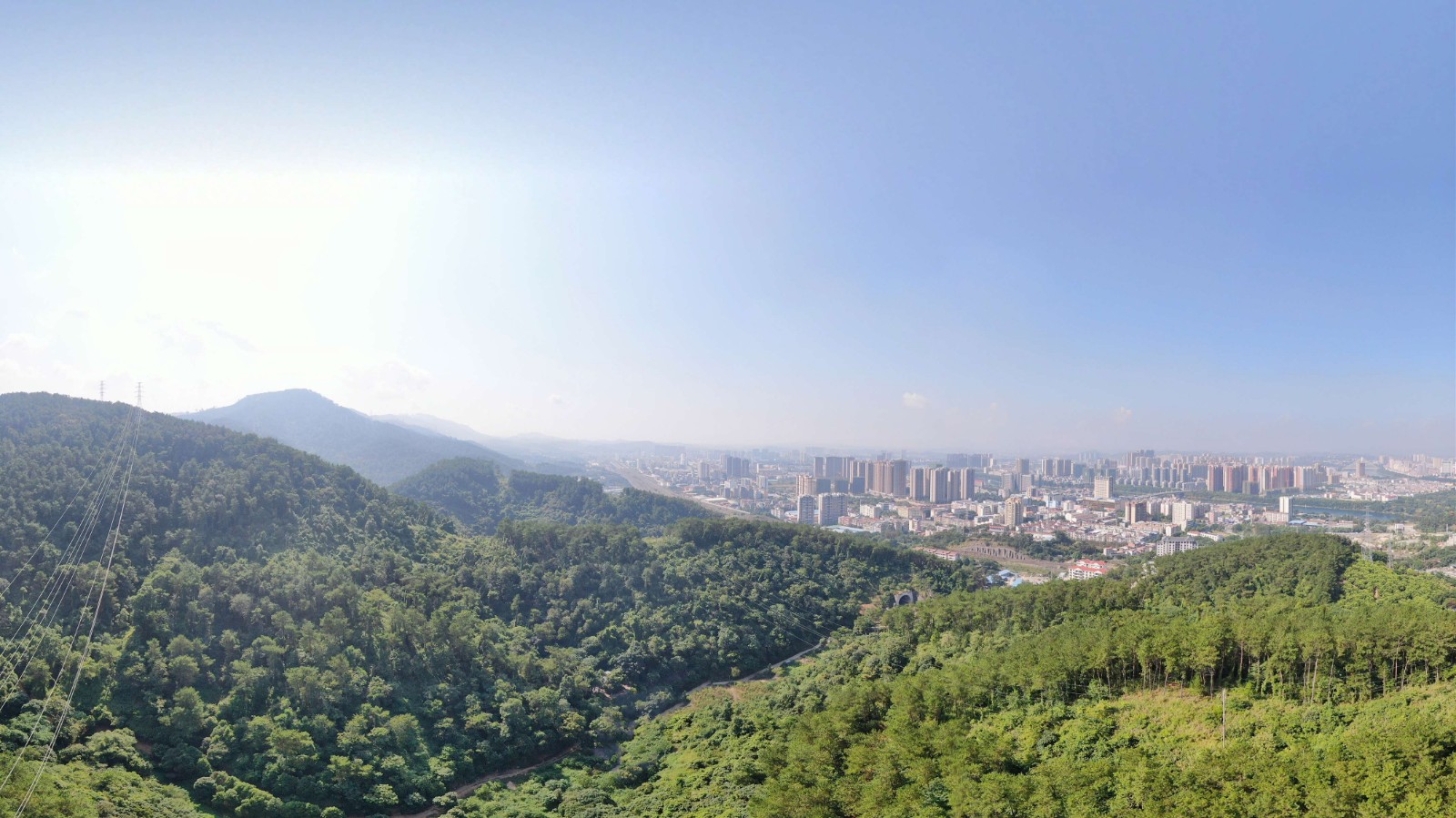 林区俯瞰图景