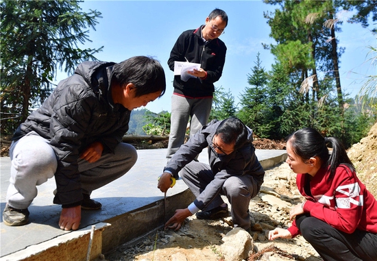 在广西柳州市融水苗族自治县良寨乡培洞村,纪检监察干部(右一、二、三)在检查扶贫道路施工情况(2019年11月5日摄)。新华社记者 黄孝邦 摄 在广西柳州市融水苗族自治县良寨乡培洞村,纪检监察干部(右一、二、三)在检查扶贫道路施工情况(2019年11月5日摄)。新华社记者 黄孝邦 摄