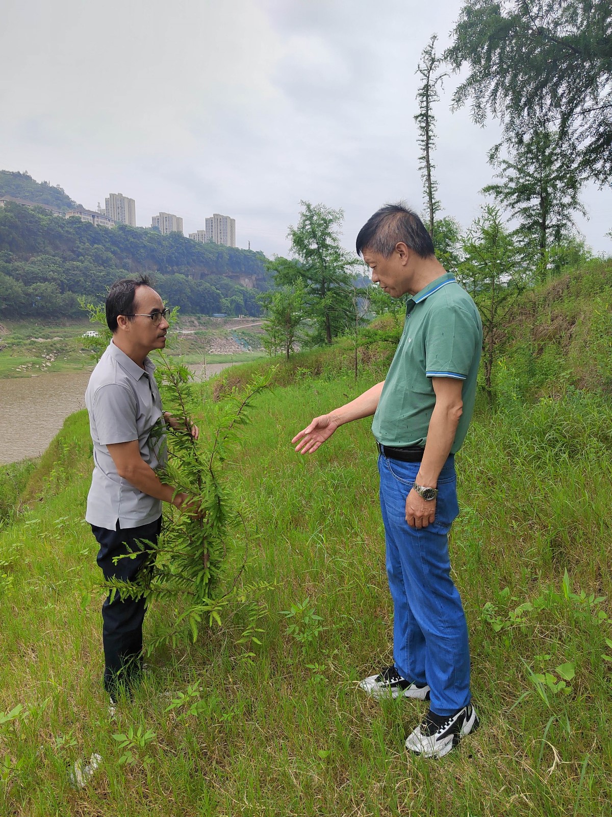 微信图片_20230619120829_副本.jpg