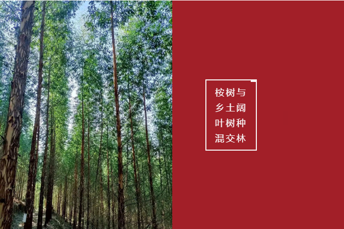 0c8dd23592b2938b97a4265c1ae0cf8.png 0c8dd23592b2938b97a4265c1ae0cf8.png