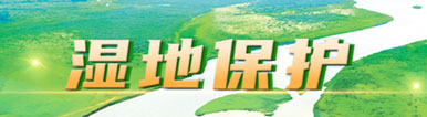 湿地保护